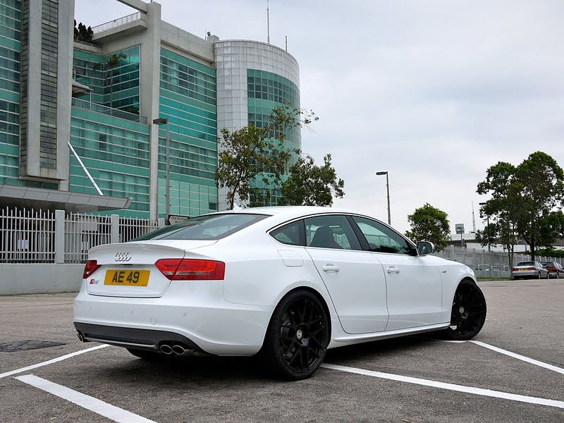 395298135S5ESQUIROU.jpg