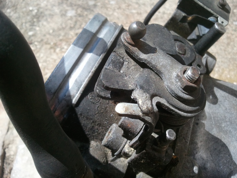395522Photo6317.jpg