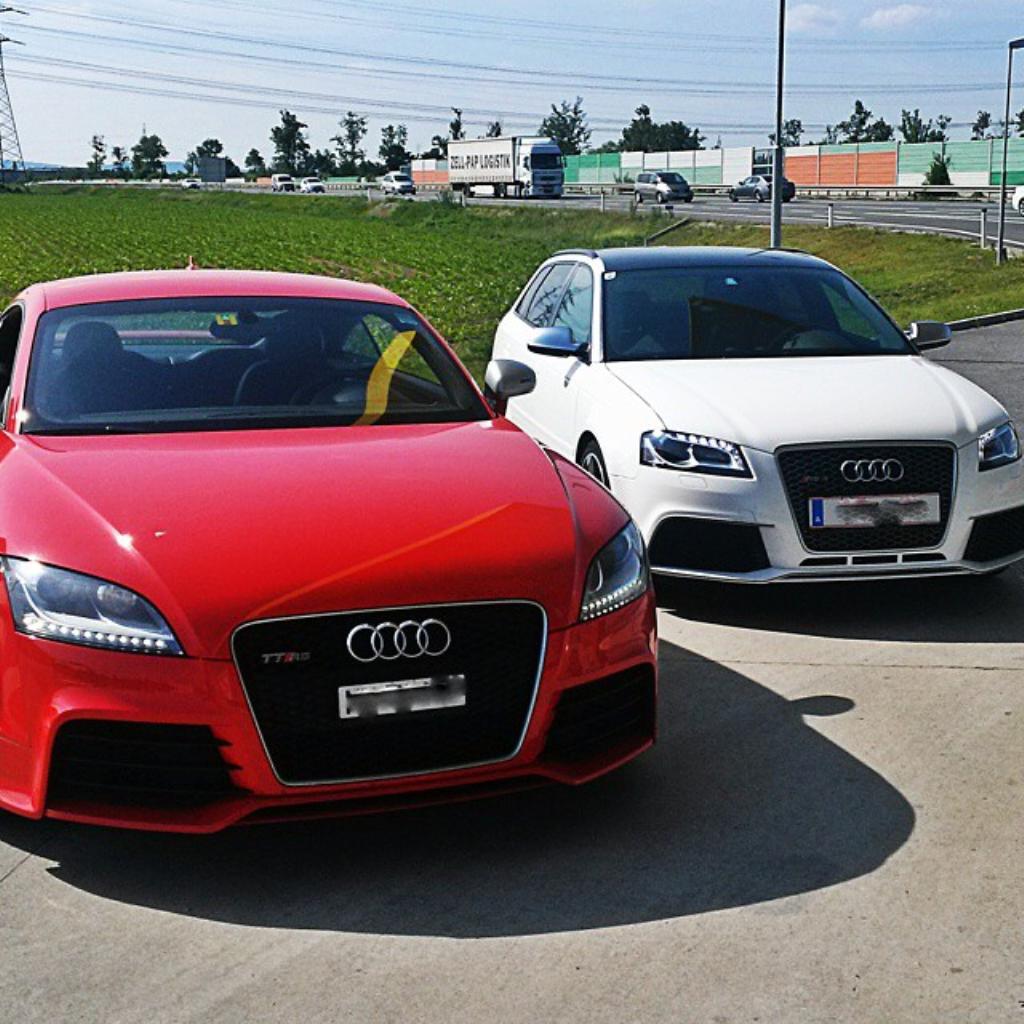 396129AUDITTRS1578.jpg