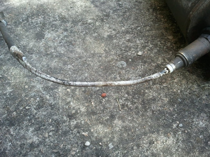 397184Photo4250.jpg