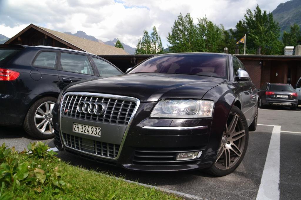 3974061945S8D3.jpg