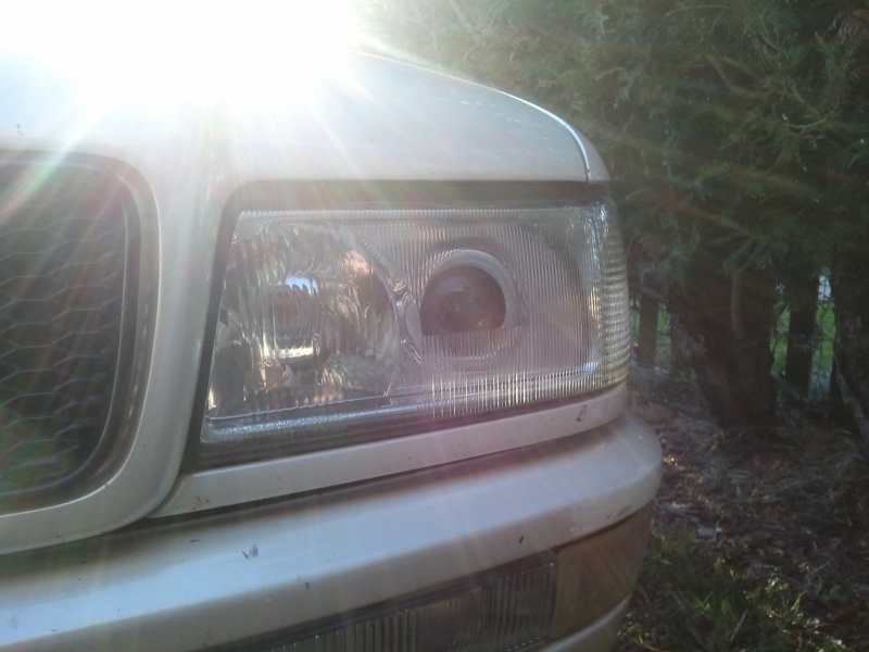 397499Photo5545.jpg