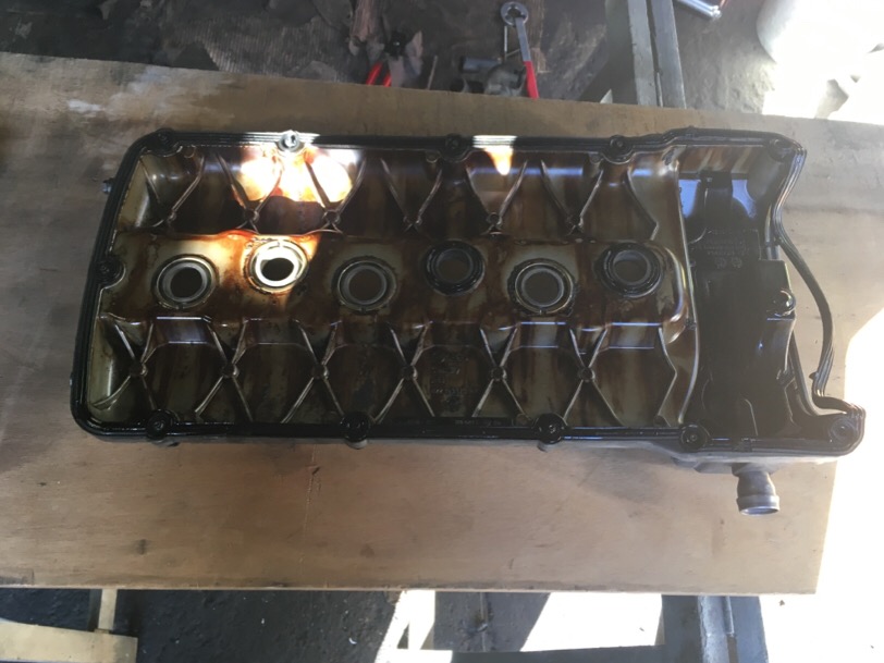 IMG_0118.JPG.2f7a29cfcca66cab1efc6532e2c