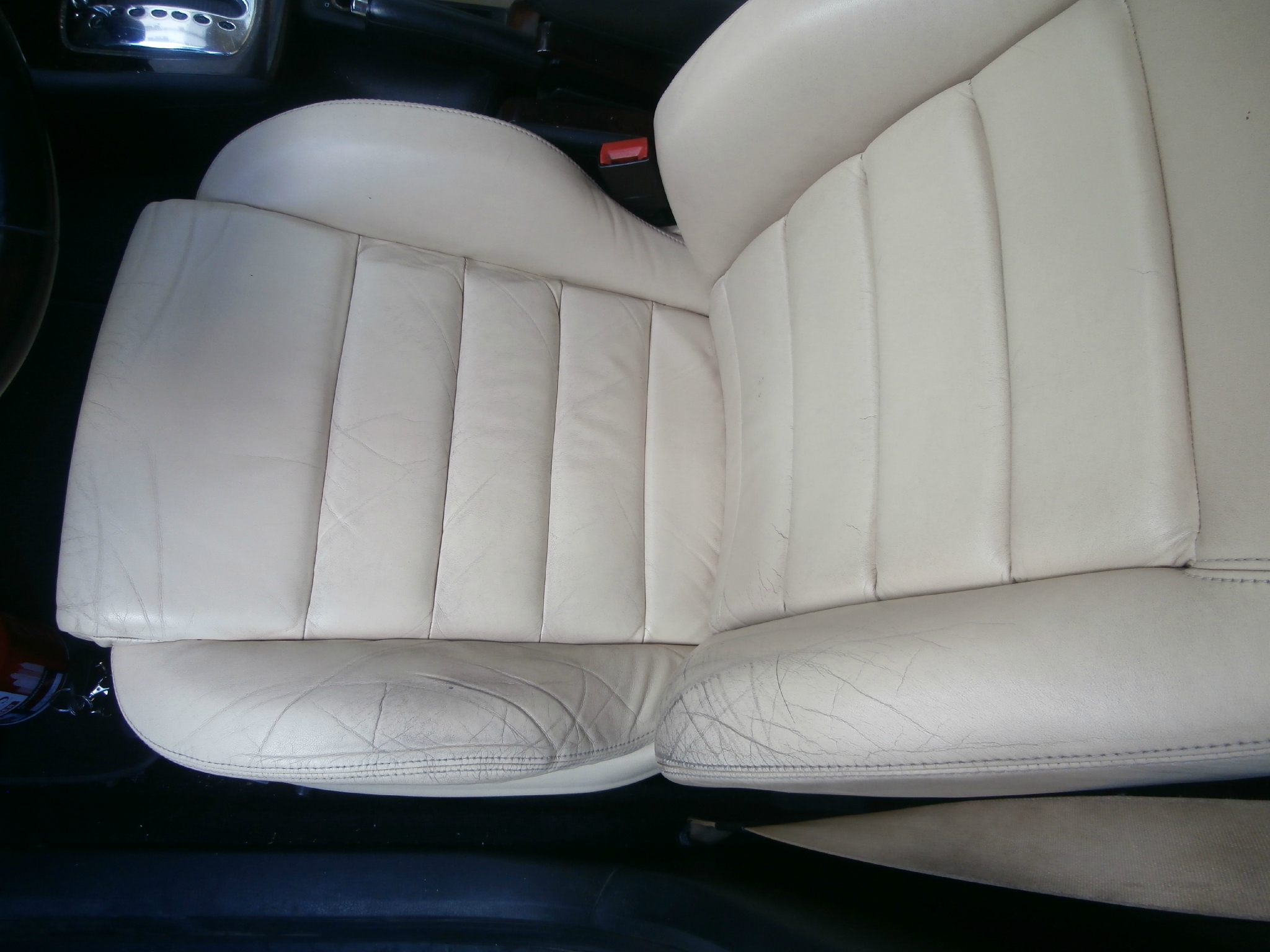 94824028_o.jpg?333190