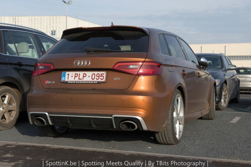 402453RS38V1899.jpg