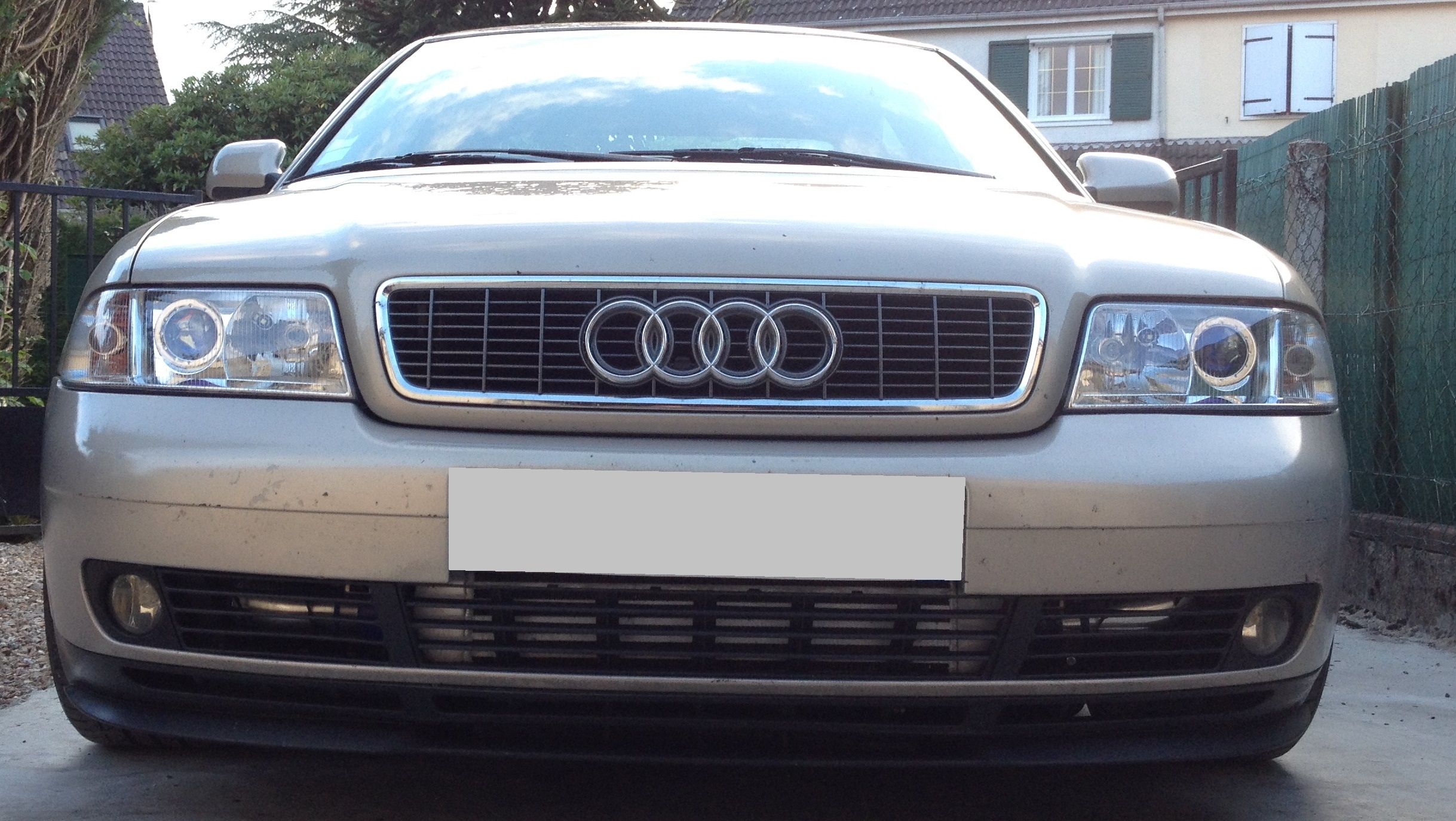 402737IMG1262.jpg