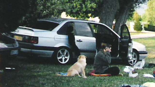 40431814PASSATAVECVITRESFUMEESNOIRGRIS1.