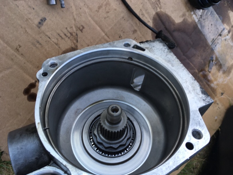 IMG_0568.JPG.8a2e5fb543532b92fb3829ccdbe