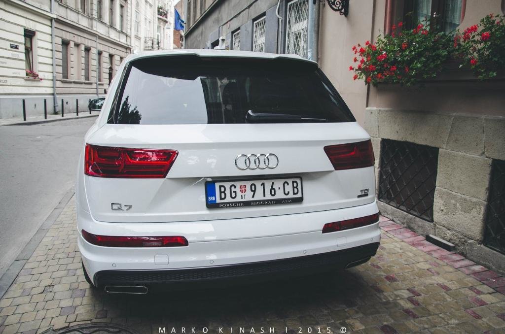 404941Q7MK2504.jpg
