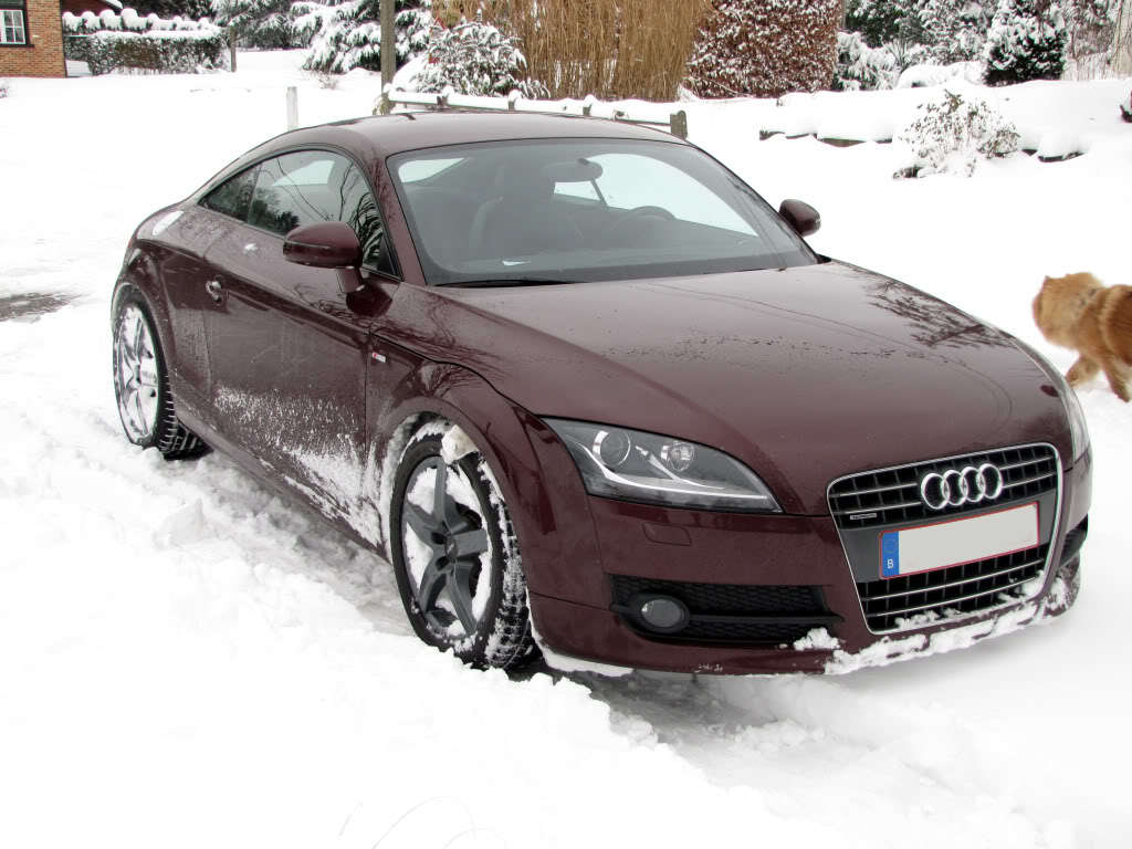 407206149NEIGEESQUIROU.jpg