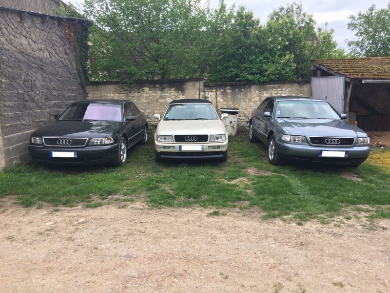 407749IMG0394a.jpg