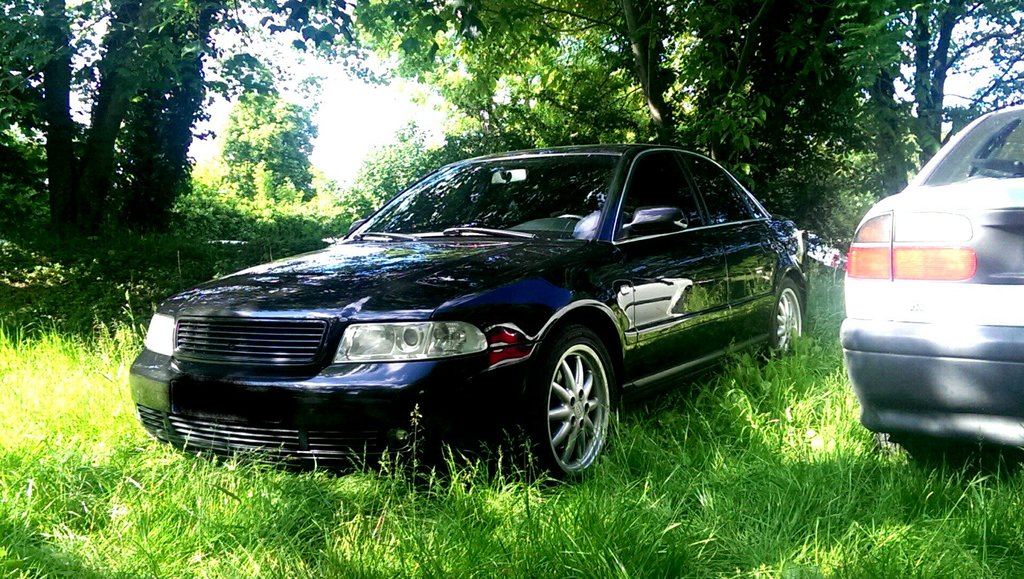 408244IMAG072411.jpg