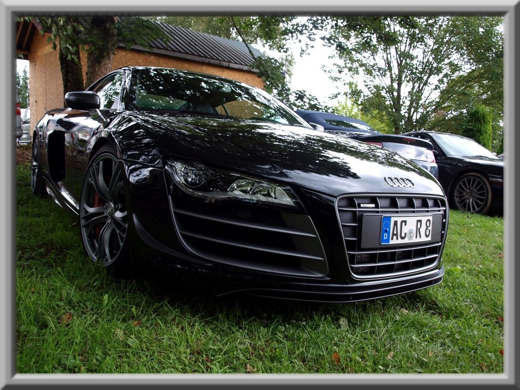 410170R8GT228ESQUIROU.jpg