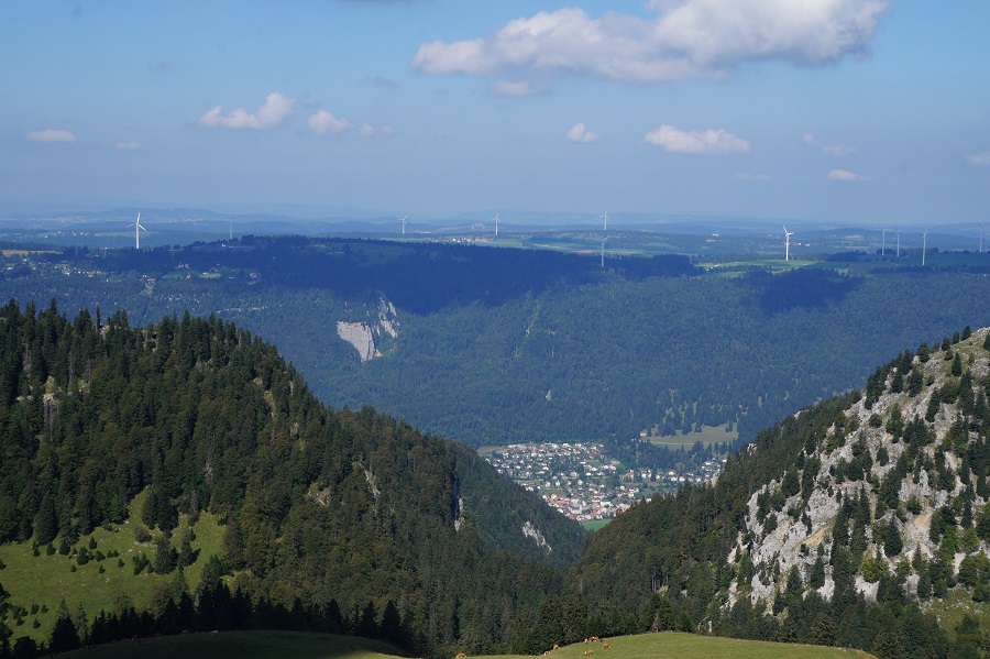 412831DSC00245.jpg