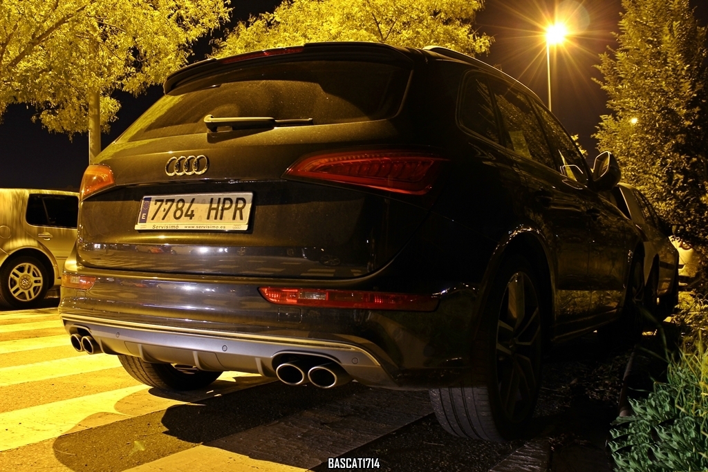 413382AUDISQ51405.jpg