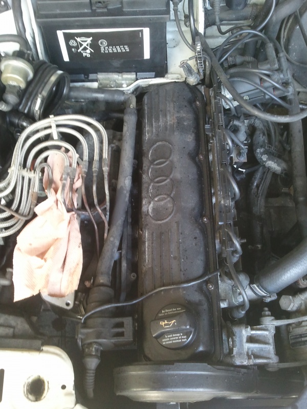 414508Photo6316.jpg