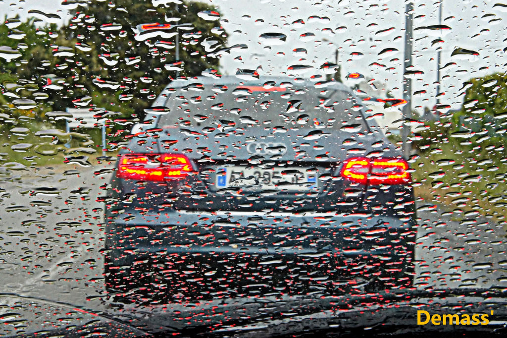 41553871494_0e2a67b678_b.jpg