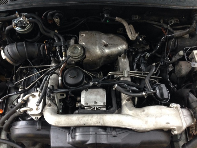 418911image.jpg