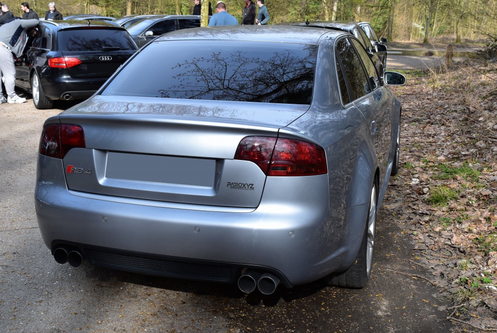 419393DSC00622x.jpg