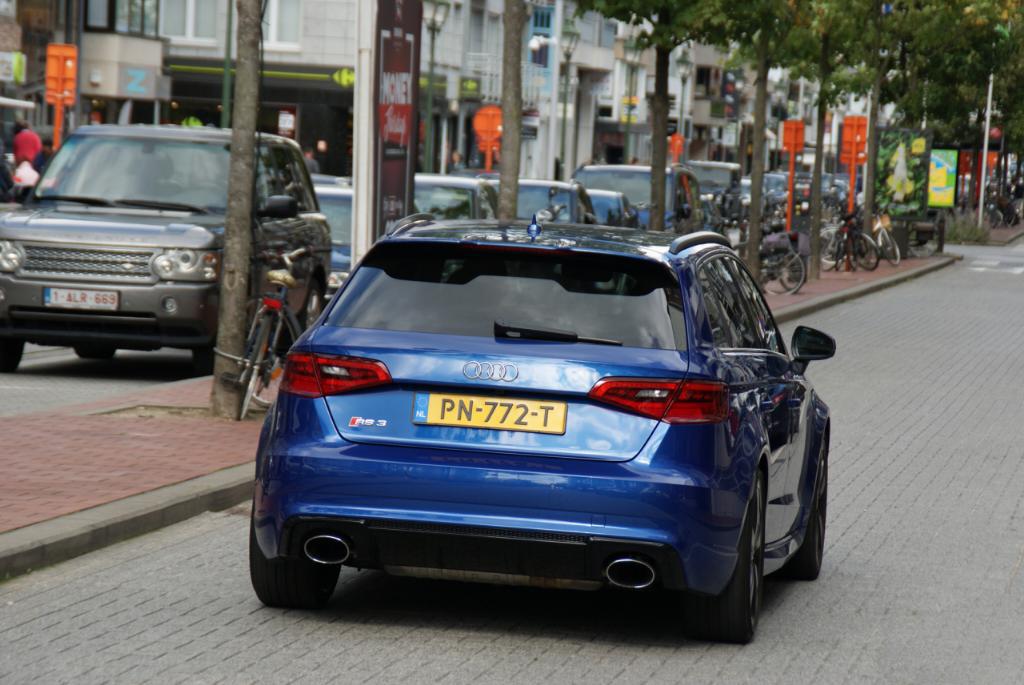 419508RS38V3209.jpg