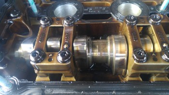 41cb8a516071709.jpg