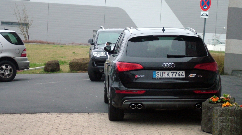 421131AUDISQ5513.jpg