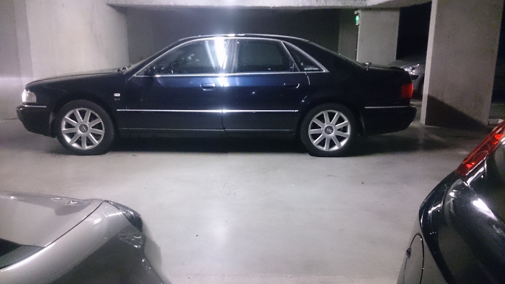425284DSC0953.jpg