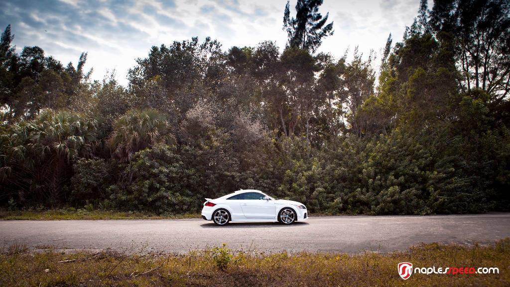 426073AUDIWHEELS0473ITTRS.jpg