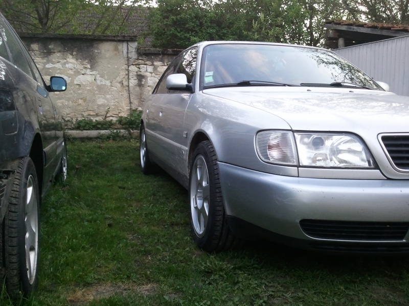 427537Photo3936.jpg