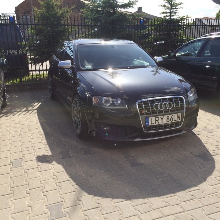 428310649S38P.jpg