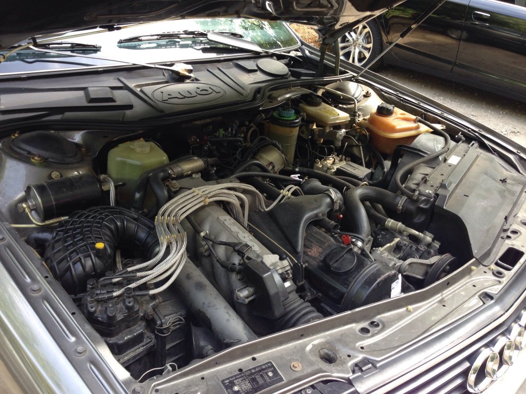 429706image825.jpg