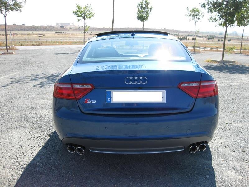 430369178S5ESQUIROU.jpg