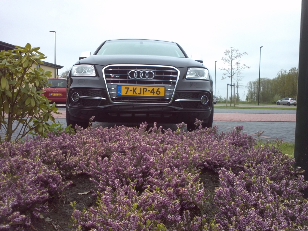 431273AUDISQ5484.jpg