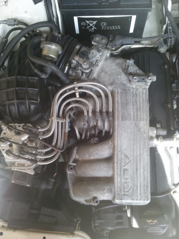 432667Photo6327.jpg