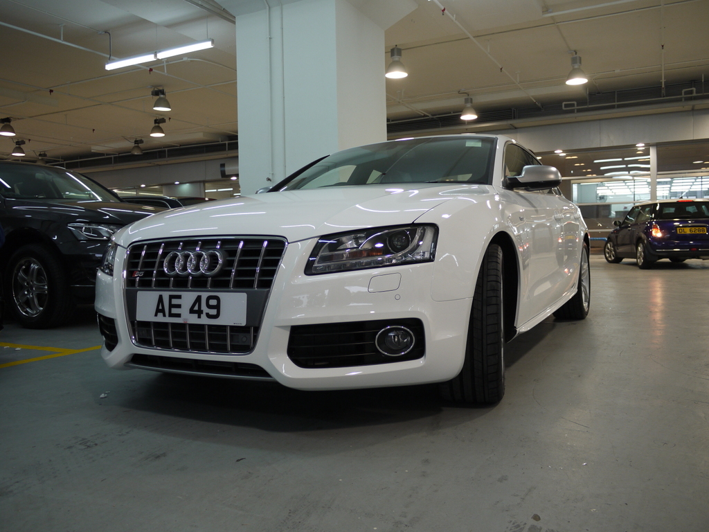 433513116S5ESQUIROU.jpg