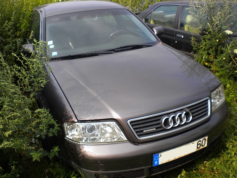 433917DSCN4717.jpg