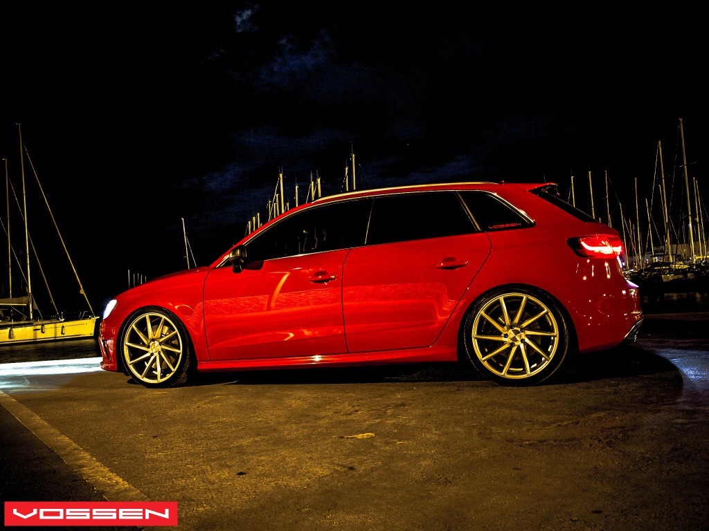 433985vossen2.jpg