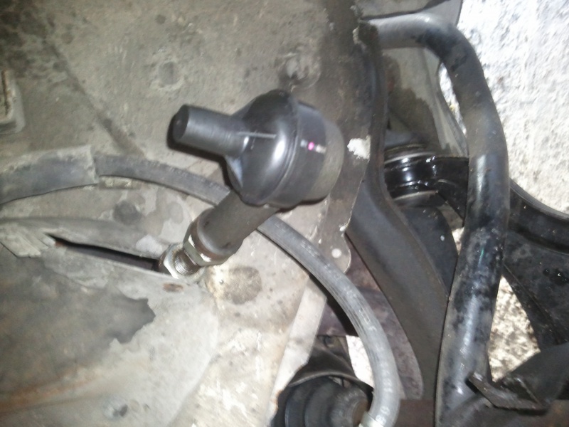 436467Photo7941.jpg