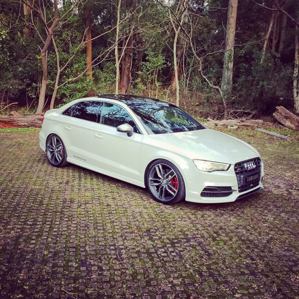 439329S38V1864.jpg