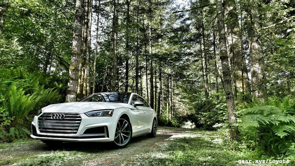 439555S5SPORTBACKB90299.jpg