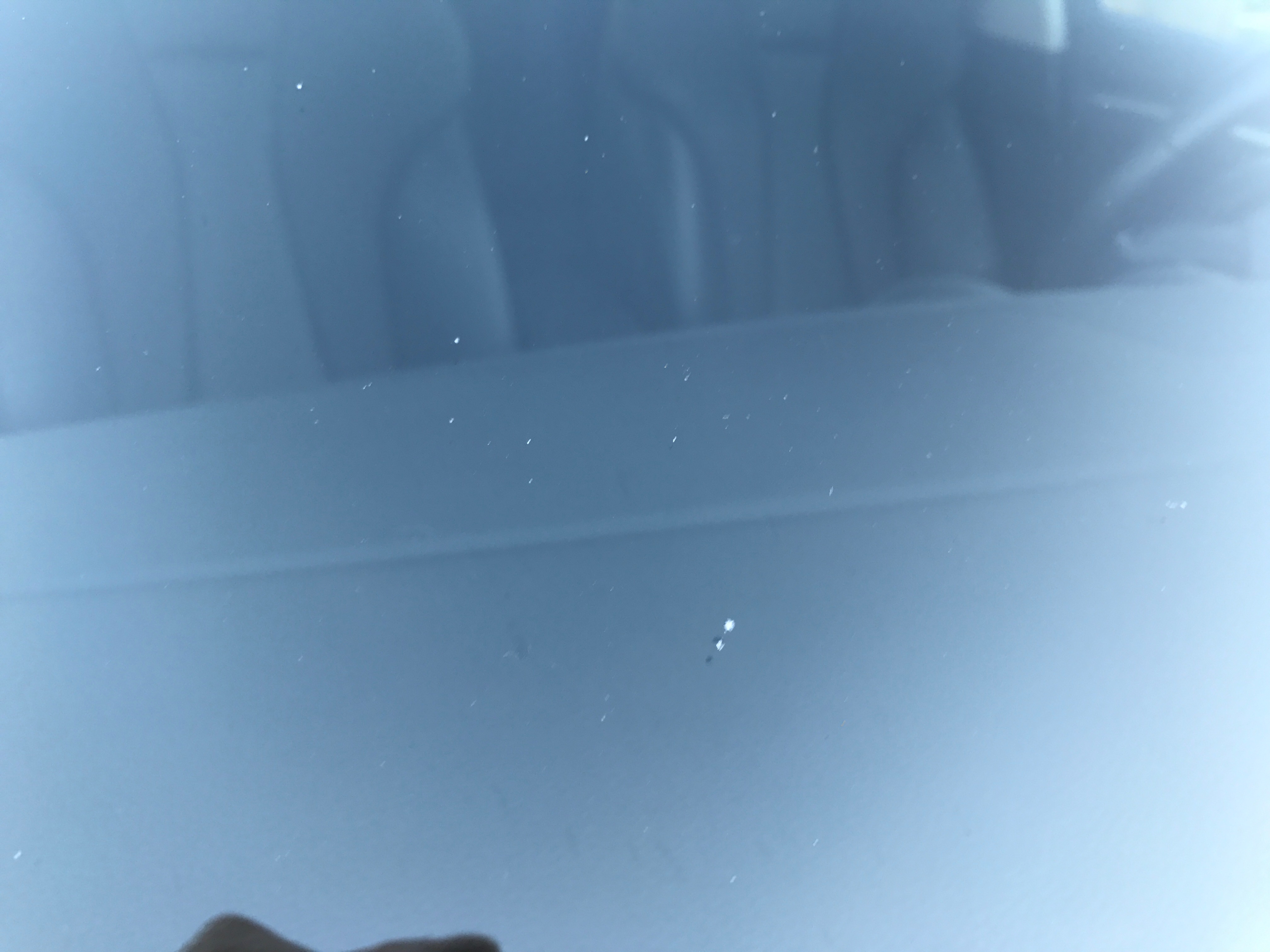 442499IMG4541.jpg