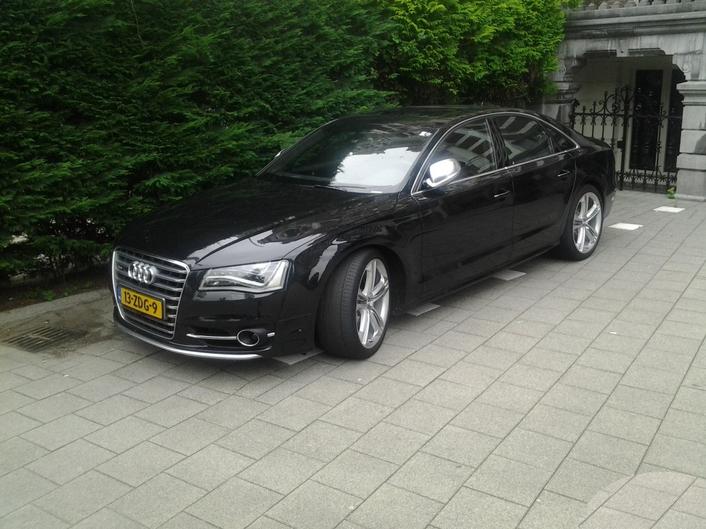 444586S8D4806.jpg