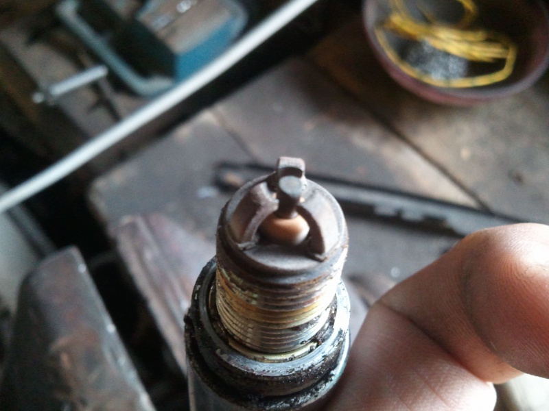 445048Photo6370.jpg