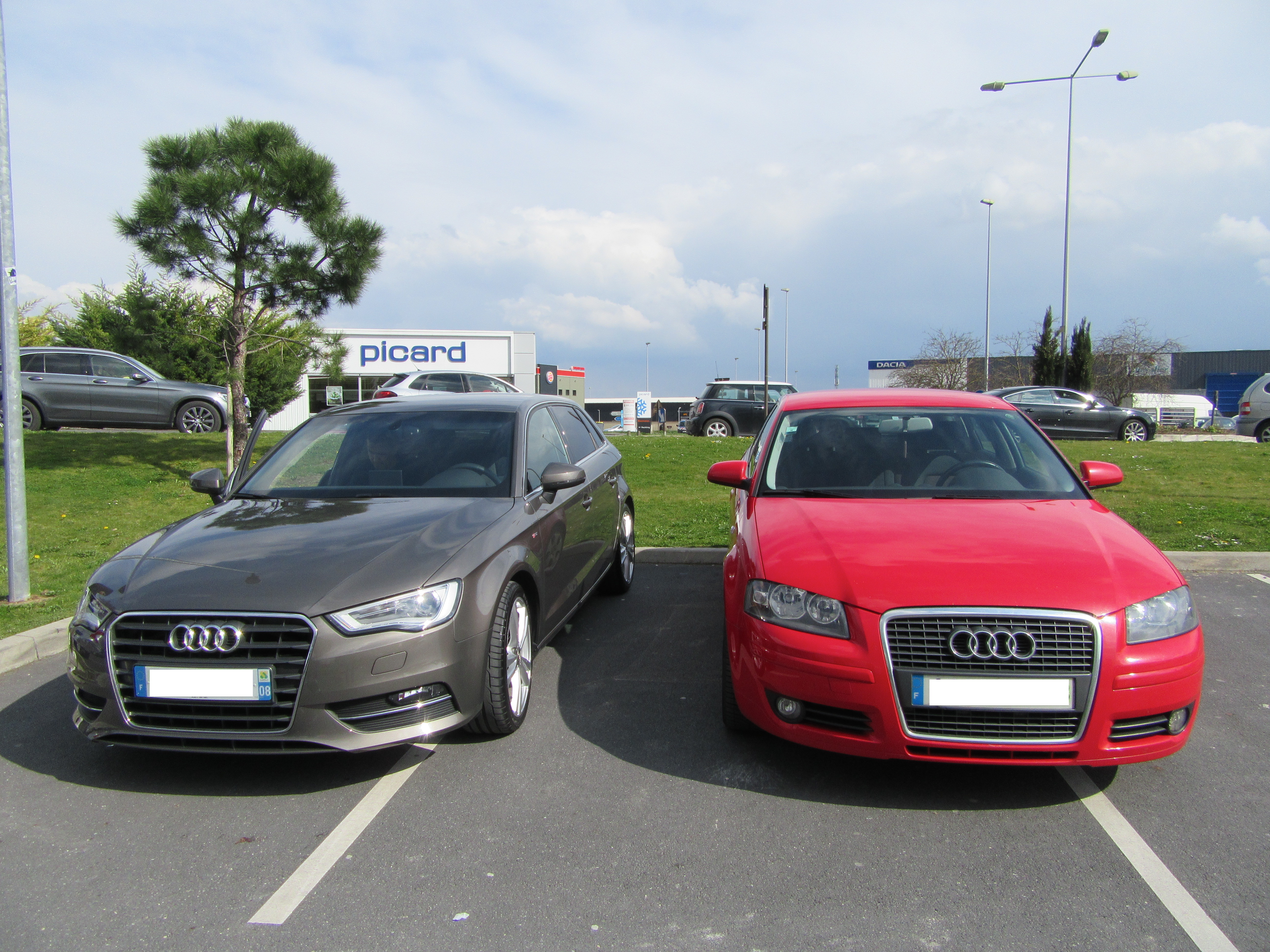 445847IMG0024.jpg