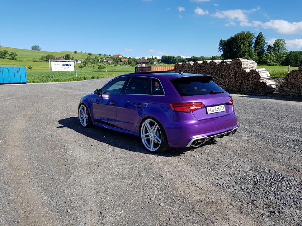 445851IMG5571.jpg