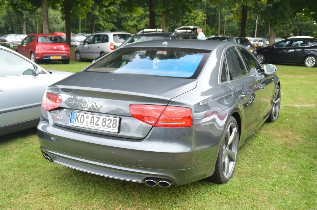 445989S8D4798.jpg