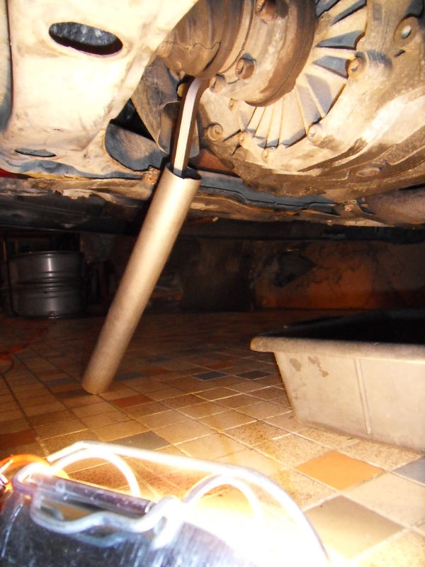 446419SDC12209.jpg