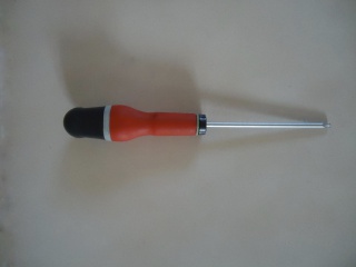 446717DSC05434.jpg