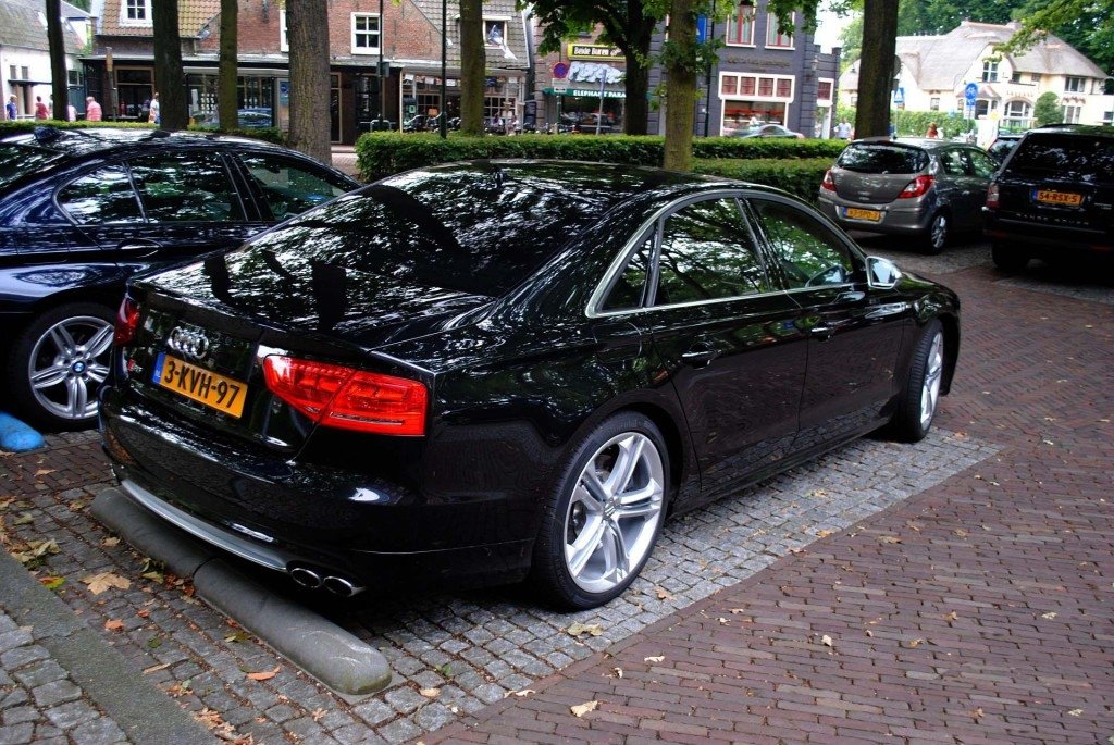 447234S8D4790.jpg