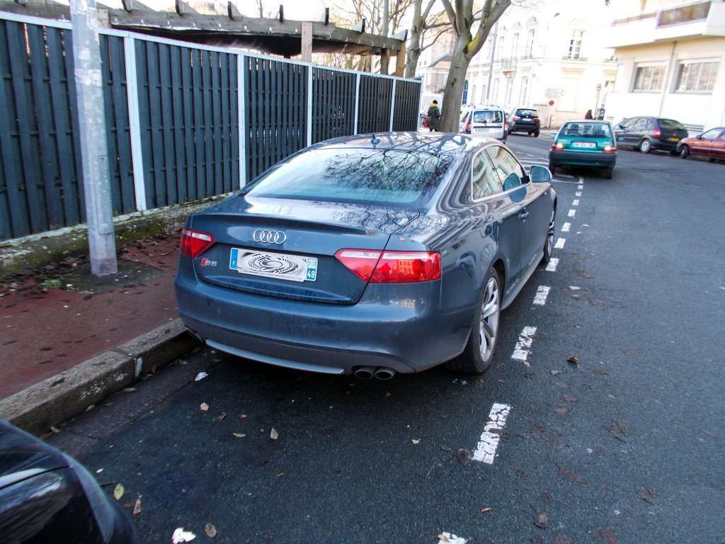 447331995S5.jpg